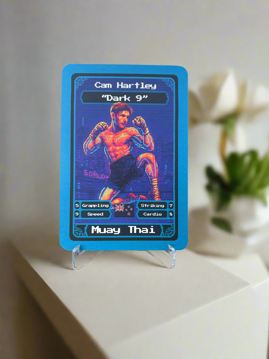 Pixel Fighter Card